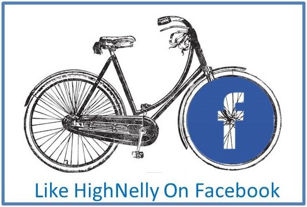high nelly bikes on done deal